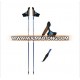 Aluminum alloy Ski Pole