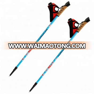 Twist lock Anti-Shock Cork handle 2 Section Telescopic Walking Poles 17SNS905